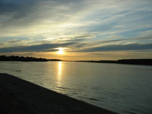 Proslava 10-ogodišnjice rada udruženja Jednake mogućnosti, 14. jun 2012, Restoran Panta Rei, Beograd